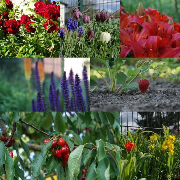 Gartenblick Trebbin Dış mekan fotoğraf