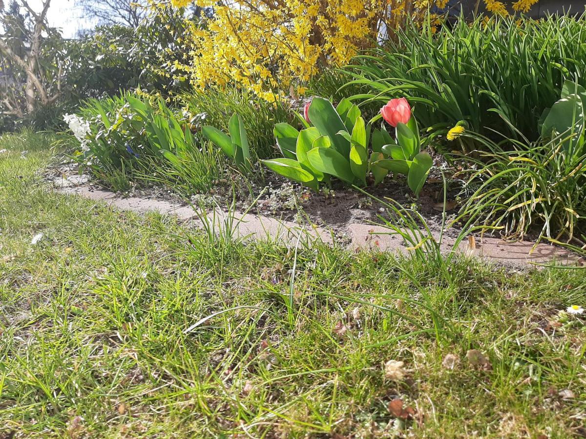Gartenblick Trebbin Dış mekan fotoğraf